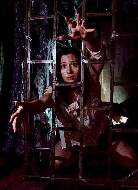 Картинка квеста - Псарня