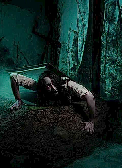 Картинка квеста - Кладбище домашних животных