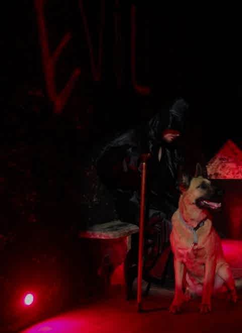 Картинка квеста - Невидимка