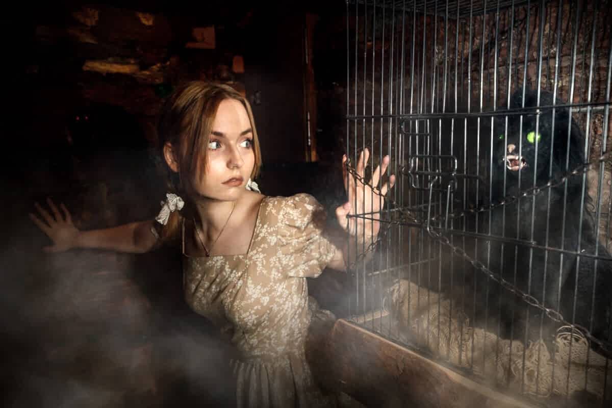 Фото квеста