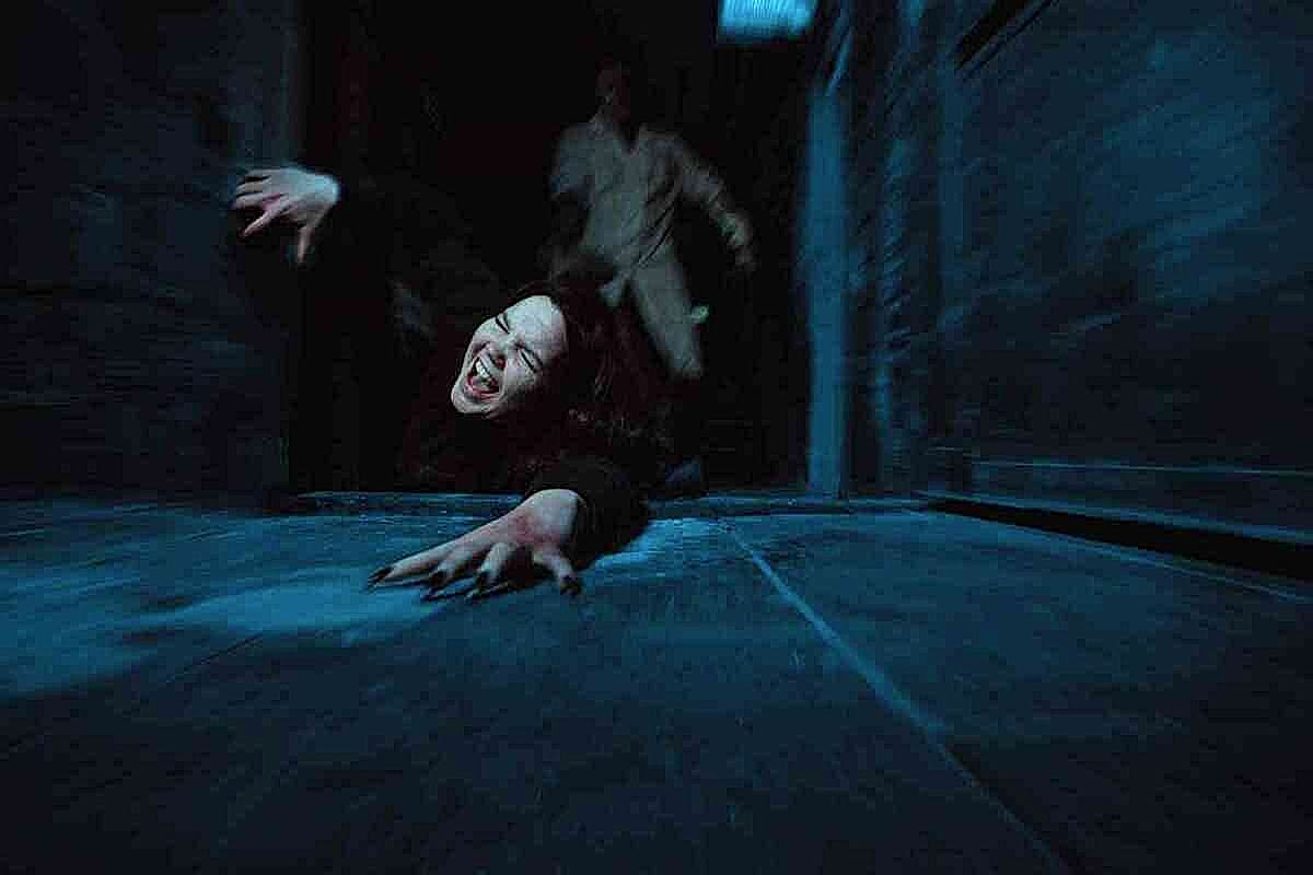 Фото квеста