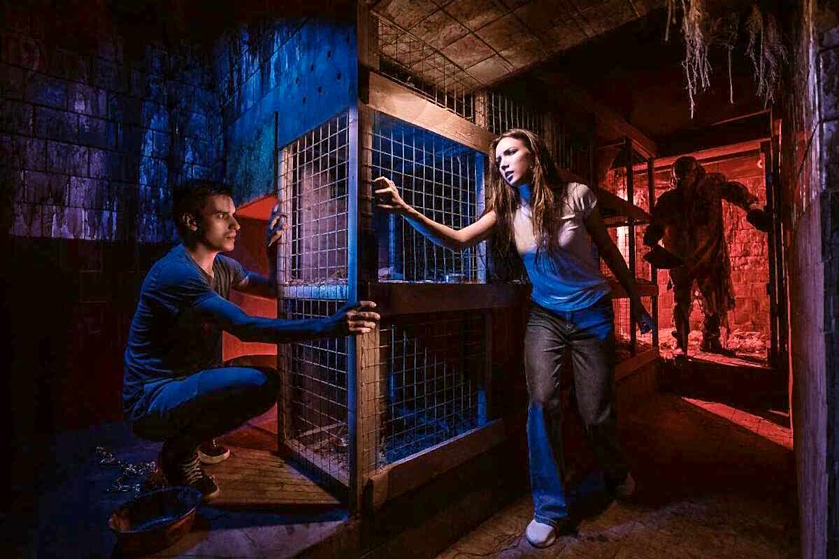 Фото квеста