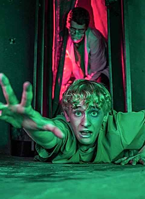 Картинка квеста - Стоматология "Новая жизнь"