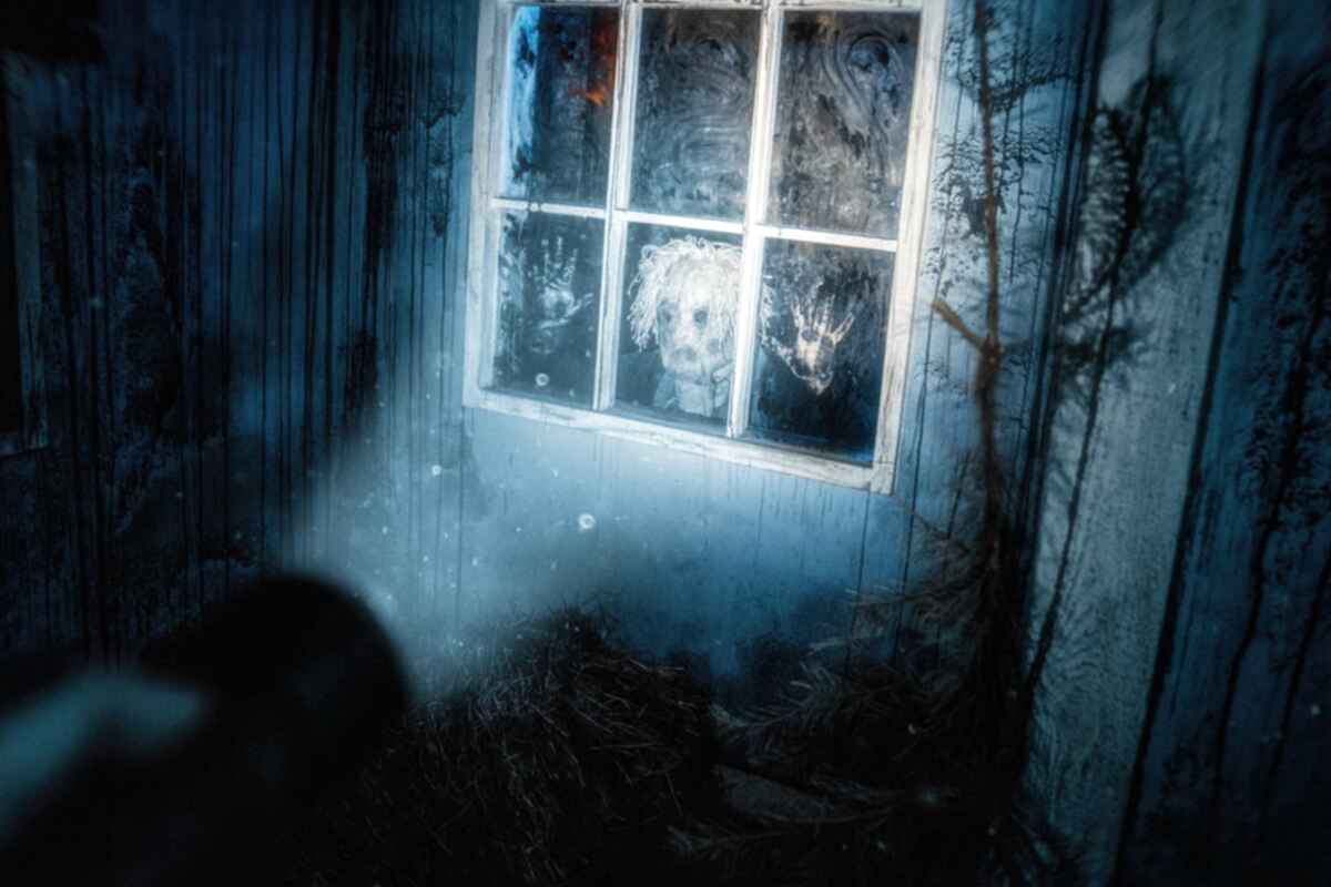 Фото квеста